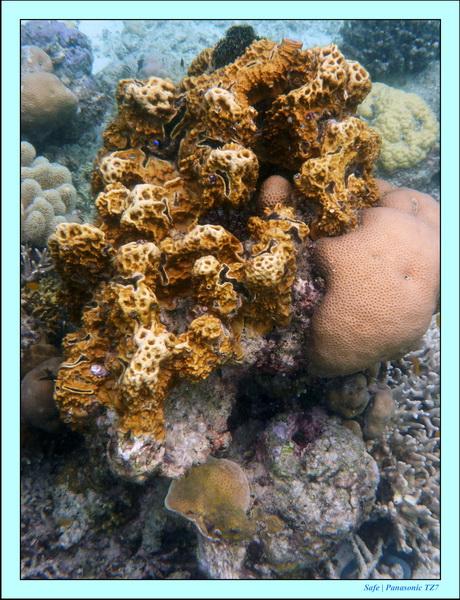 2009   07   Matakin 41